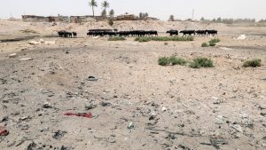 مصر تبني محطة تحلية في العراق