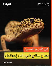 غزو ​​أبو بريص المصري يجبر إسرائيل على إعلان الطوارئ