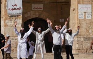 بائع خضار